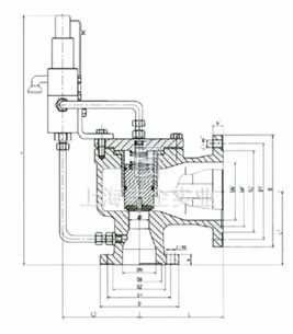 A46F/Y先導(dǎo)式泄壓安全閥結(jié)構(gòu)圖