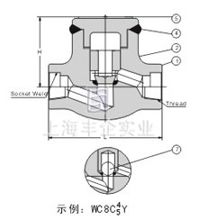 螺栓閥蓋升降式鍛鋼止回閥 結(jié)構(gòu)圖2