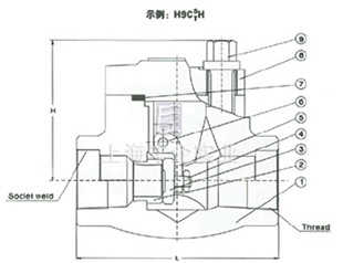  焊接閥蓋旋啟式鍛鋼止回閥 結(jié)構(gòu)圖