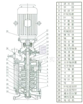 DL、DLR多級泵 結(jié)構(gòu)圖片