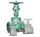 Cast steel globe valve