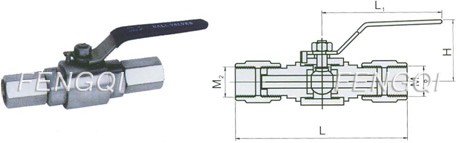 PN 6.4 MPa- Female NPT Ends-Dimensions