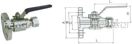 PN 6.4 MPa- NPT Lagging Extension to Flange-Dimensions