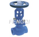 Threaded Bellow Seal Globe Valves