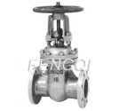 Cryogenic Globe Valve