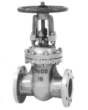 Cryogenic Globe Valve