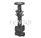 Forged Cryogenic Globe Valve