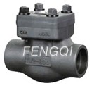 Forged Steel Swing Check Valves