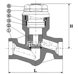 Piston- Bolted Cover -Threaded and Socket weld Ends-Materials