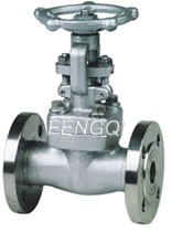 Forged Steel Bolted Bonnet Gate Valves, flanged