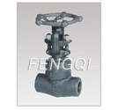 Forged Steel Welded Bonnet Gate Valves