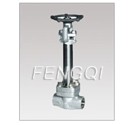 Forged Cryogenic Gate Valves