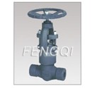 Forged Steel Pressure Seal Globe Valves