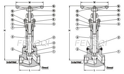 Materials of Cryogenic Globe Valves, Forged steel, Class 800Lb