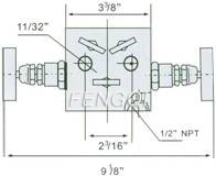 Structure of SS-M2F8 5-Valve Manifolds pic 2 