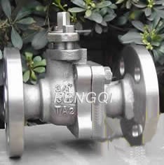 Floating Titanium Ball Valves