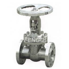 API Titanium Gate Valves