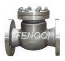 Titanium Swing Check Valves