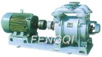 Water ring vacuum pumps