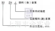 ZHJ型料(渣)漿泵 型號(hào)說(shuō)明圖