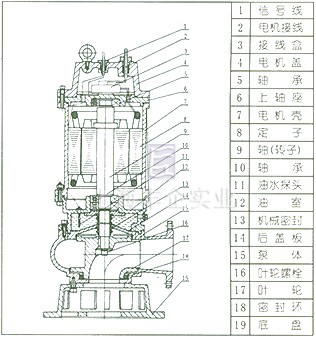 QW型無堵塞潛水排污泵 結構圖