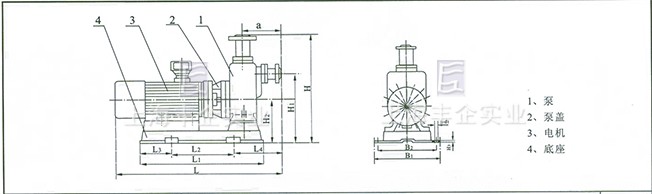 ZWL型直聯(lián)式自吸無堵塞排污泵 結(jié)構(gòu)示意圖