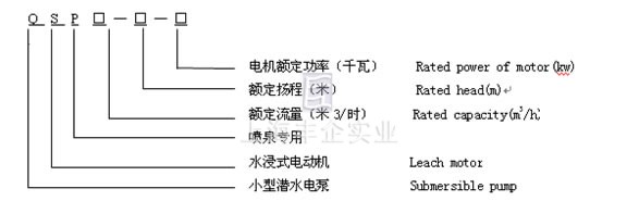 QSP潛水電泵 型號說明