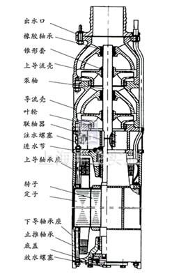 QSP潛水電泵 結構簡圖