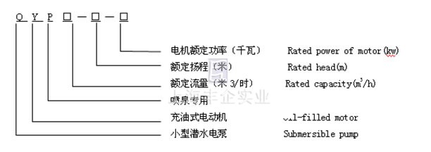 QYP潛水電泵 型號(hào)說明