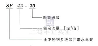 SP潛水泵 型號說明