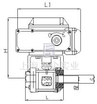 Q961F電動(dòng)快速切斷球閥結(jié)構(gòu)圖