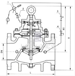100D 定水位閥結構圖