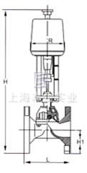 電動隔膜調(diào)節(jié)閥 結(jié)構(gòu)圖