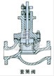 電動(dòng)精小型單座、套筒調(diào)節(jié)閥 結(jié)構(gòu)圖4