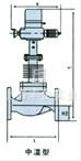 電動(dòng)精小型單座、套筒調(diào)節(jié)閥 結(jié)構(gòu)圖1