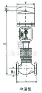 電子式電動(dòng)單座、套筒調(diào)節(jié)閥 結(jié)構(gòu)圖1