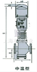 電子式電動(dòng)直通單、雙座調(diào)節(jié)閥 結(jié)構(gòu)圖1