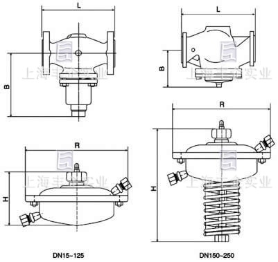 自力式流量調(diào)節(jié)閥 結(jié)構(gòu)