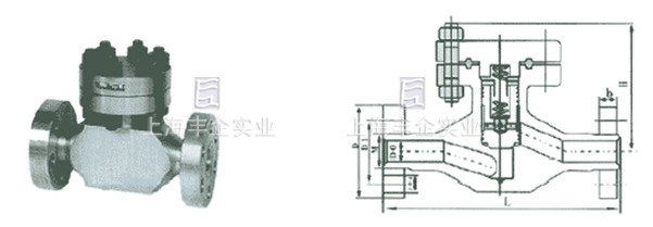 H43Y/W-220/320高壓直通止回閥外形尺寸圖