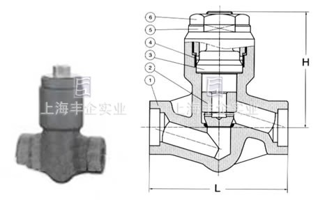 壓力自緊封升降式止回閥結(jié)構(gòu)圖