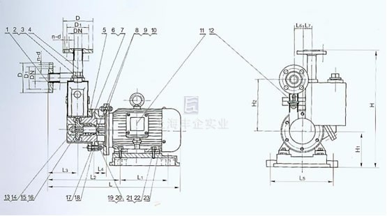 ZWBM型直聯(lián)式不銹鋼自吸泵結(jié)構(gòu)及安裝圖